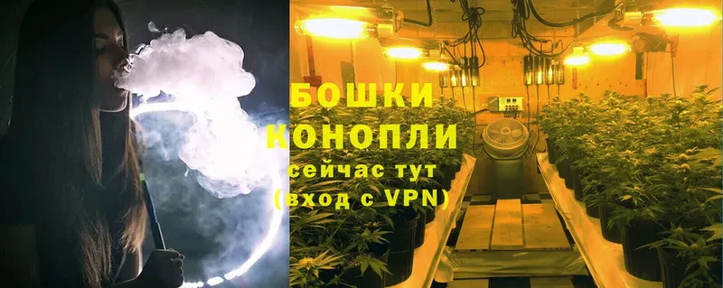 Шишки марихуана SATIVA & INDICA  купить наркотики сайты  Новороссийск 